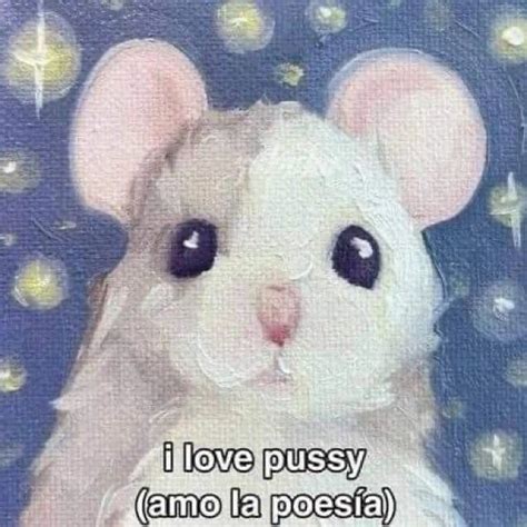 MiNorlax On Twitter I Love Pussy Amo A Poesia