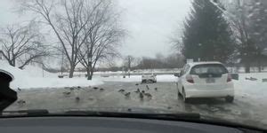 Catherine French Milf Tnaflix