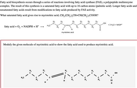 Answered: Fatty acid biosynthesis occurs through… | bartleby