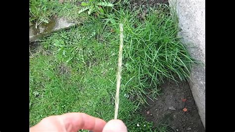 Pissing In Nature Free Mobile Porn Videos IPornTV