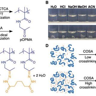 Illustration Of The Covalent Crosslinkingdriven Selfassembly COSA