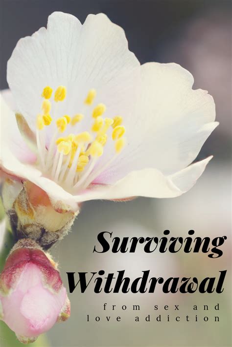 Surviving Withdrawal From Sex And Love Addiction Restored Hope Counseling Services