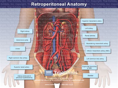 Retroperitoneal Diagram