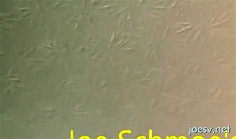 Nude Gay Handjob Solo