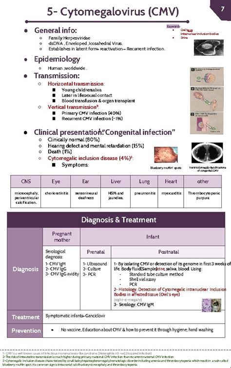 Transplacental Infections Lecture Objectives Recognize The Different Types