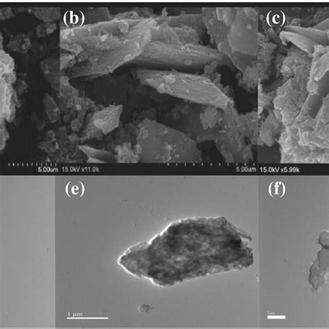 The Xps Spectra Of Tfptazineco And Pd Tfptazinecof Wide Scan A