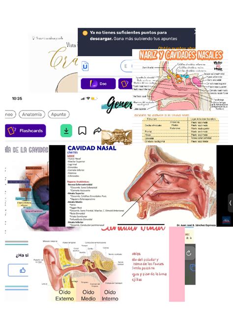 Documento Bases para el Anal Biométrico Studocu
