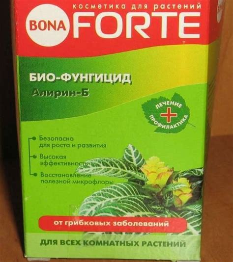 Фунгициды для комнатных растений: список препаратов и описание топ-11 ...