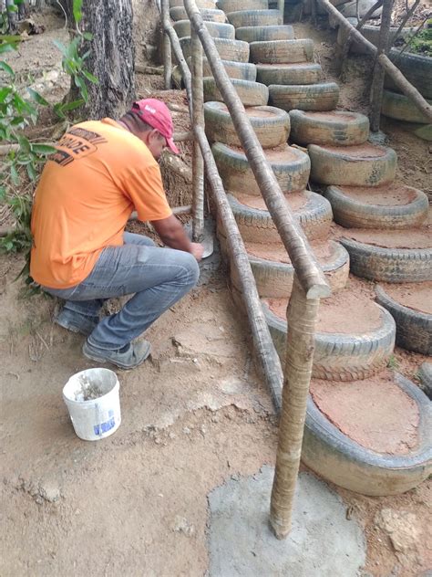 Viveiro De Mudas Do Parque Do Ing Recebe Melhorias Em Volta Redonda