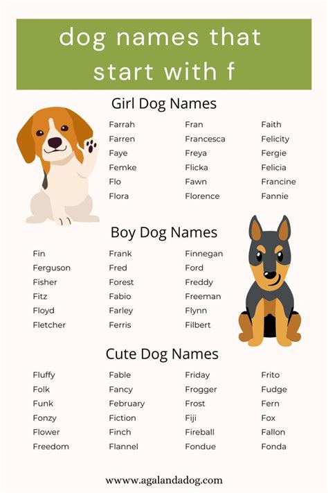 funny fabulous dog names  start   artofit