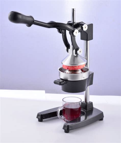 grape juicer recipes 5