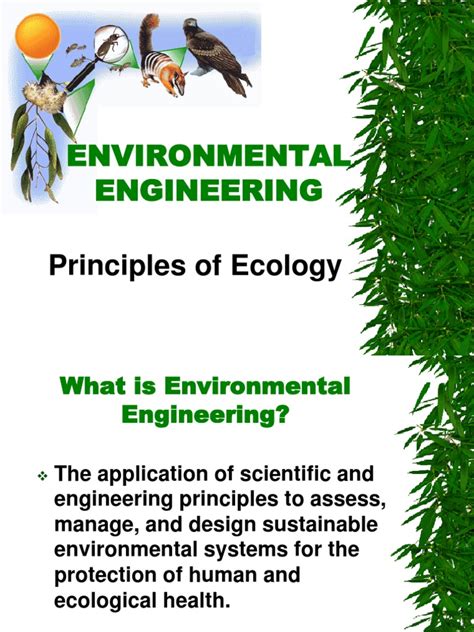 1 Principles Of Ecology Ecosystem Food Web