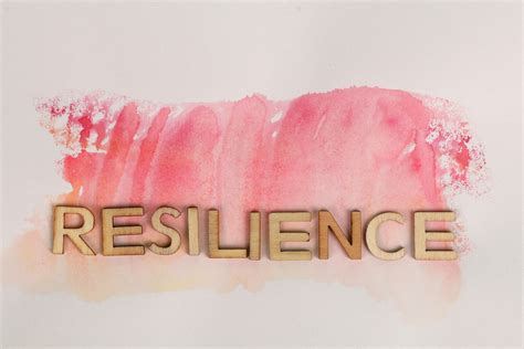 8+ Best Free Resilience Stock Photos & Images · 100% Royalty-Free HD