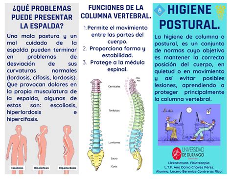 Higiene Postural Folleto Higiene De Columna Higiene P