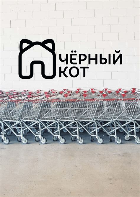 Студенческое портфолио / Визуальная идентификация сети магазинов ...