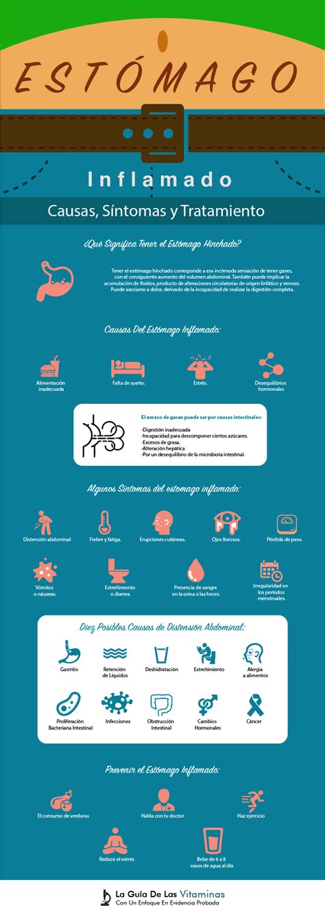 Estómago Inflamado Causas Síntomas Y Tratamiento La Guía De Las