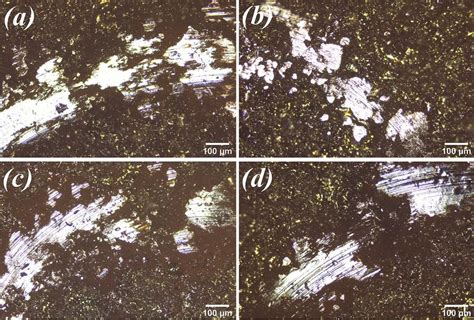 Optic Microscope Wear Tracks Observations For A Ss L B Ss L C