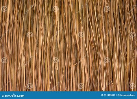 Background Texture from Dried Palm Leaves Stock Photo - Image of roof ...