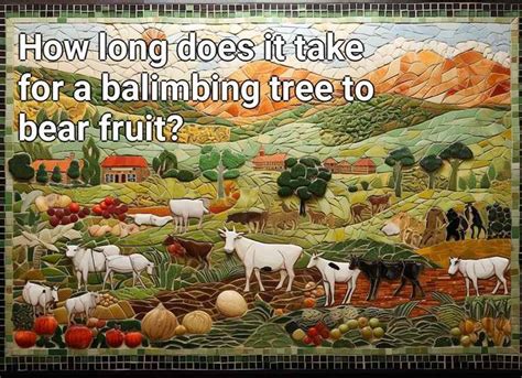 How long does it take for a balimbing tree to bear fruit? – Agriculture.Gov.Capital