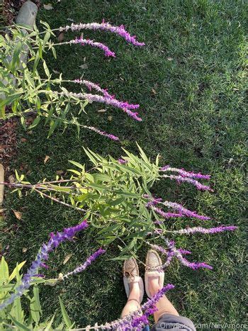 Brittney Travels Nevamore Nude OnlyFans The Fappening Plus