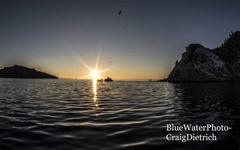 Trip Report Sea Of Cortez Photo Workshop August Bluewater Dive