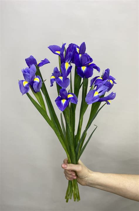 Ирисы - Интернет-магазин цветов “Flowers happy”