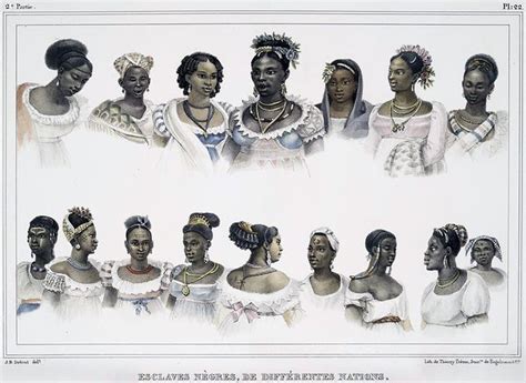 African Influence On Latin America History