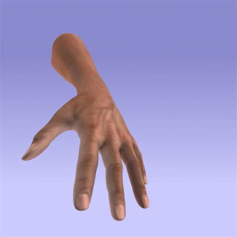 grabbing hand  stock photo public domain pictures