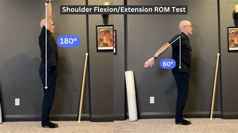 shoulder flexion extension range  motion test assess shoulder
