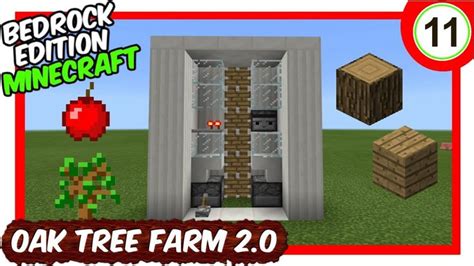 How To Build Automatic Oak Tree Farm v2.0 In Minecraft Bedrock (MCPE ...