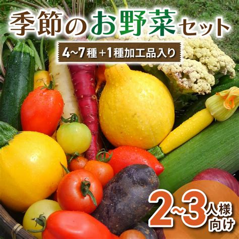 【アグロノーム】季節のお野菜セット（2～3人様向け）※2024年7月以降発送開始 長野県東御市 Jre Mallふるさと納税