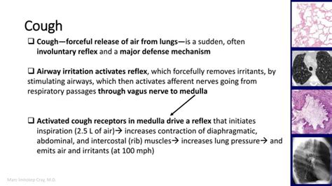 Cough and cough suppressants (antitussive agents) | PPT