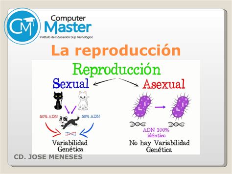 Reproduccion Sexual Y Asexual