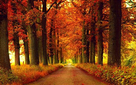 Autumn