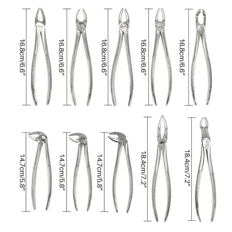 Dental Extraction Tools
