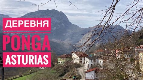 435 Деревня Понга Ponga Asturias Платят Ли За Жизнь Здесь Астурия