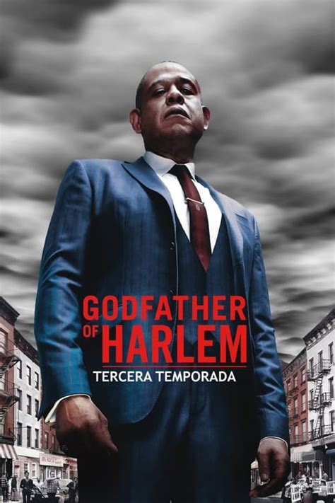 Watch Godfather Of Harlem Season 3 Streaming In Australia Comparetv