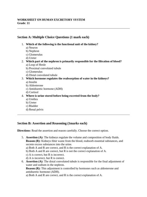 worksheet  human excretory system  kidney endocrine system