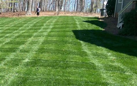 Pre Emergent Post Emergent Weed Control In Georgia A Guide