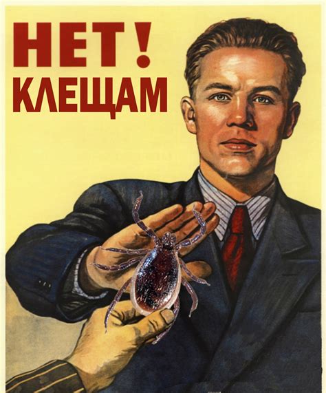 Отпугивающие растения от клещей для участка и дачи - Klumba.ORG