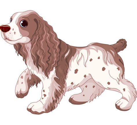 spaniel dog illustration spaniel art cute dogs