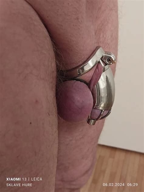 Daily Weighing Cagecheck No Plug Check February 6th 2024 15 Nude Pics XHamster