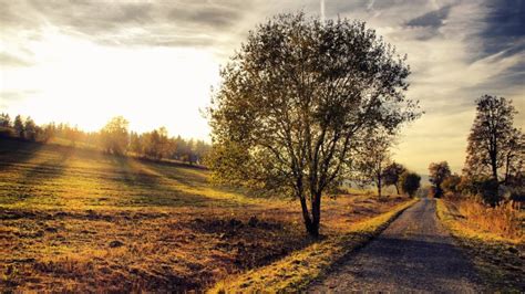 Autumn Road Wallpaper Hd - 3840x2160 Wallpaper - teahub.io