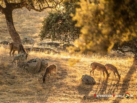 Parques Naturales de Andalucía que enamoran GUÍA 2024 25