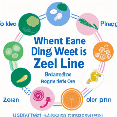 The Blue Zone Diet: An Ancient Way of Eating for a Modern Life - The ...