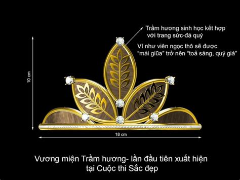 Dàn người đẹp Hoa khôi Nam Bộ khoe hình thể khi trình diễn bikini