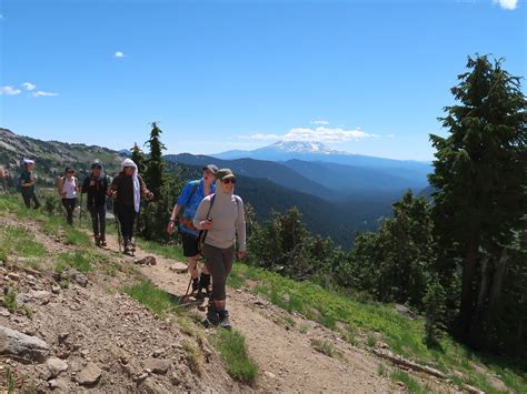 Wild Grief | Grieving Together in Nature