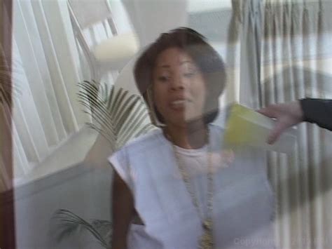 Buy Big Tits Curvy Asses Vol Used Adult DVD Empire