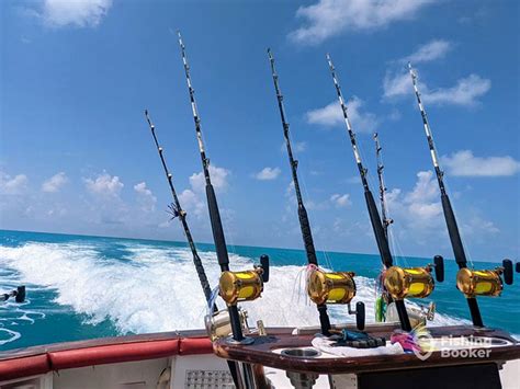 Key West Marlin Fishing: An Angler’s Guide - South Florida Reporter