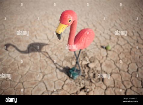 Close Up Of Flamingo Statue In Desert Stock Photo Alamy